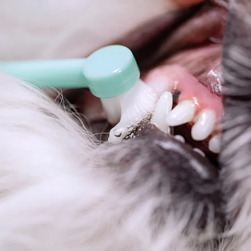 Escova Dental para Cães e Gatos de Dedo para Limpeza Oral - Imagem 2