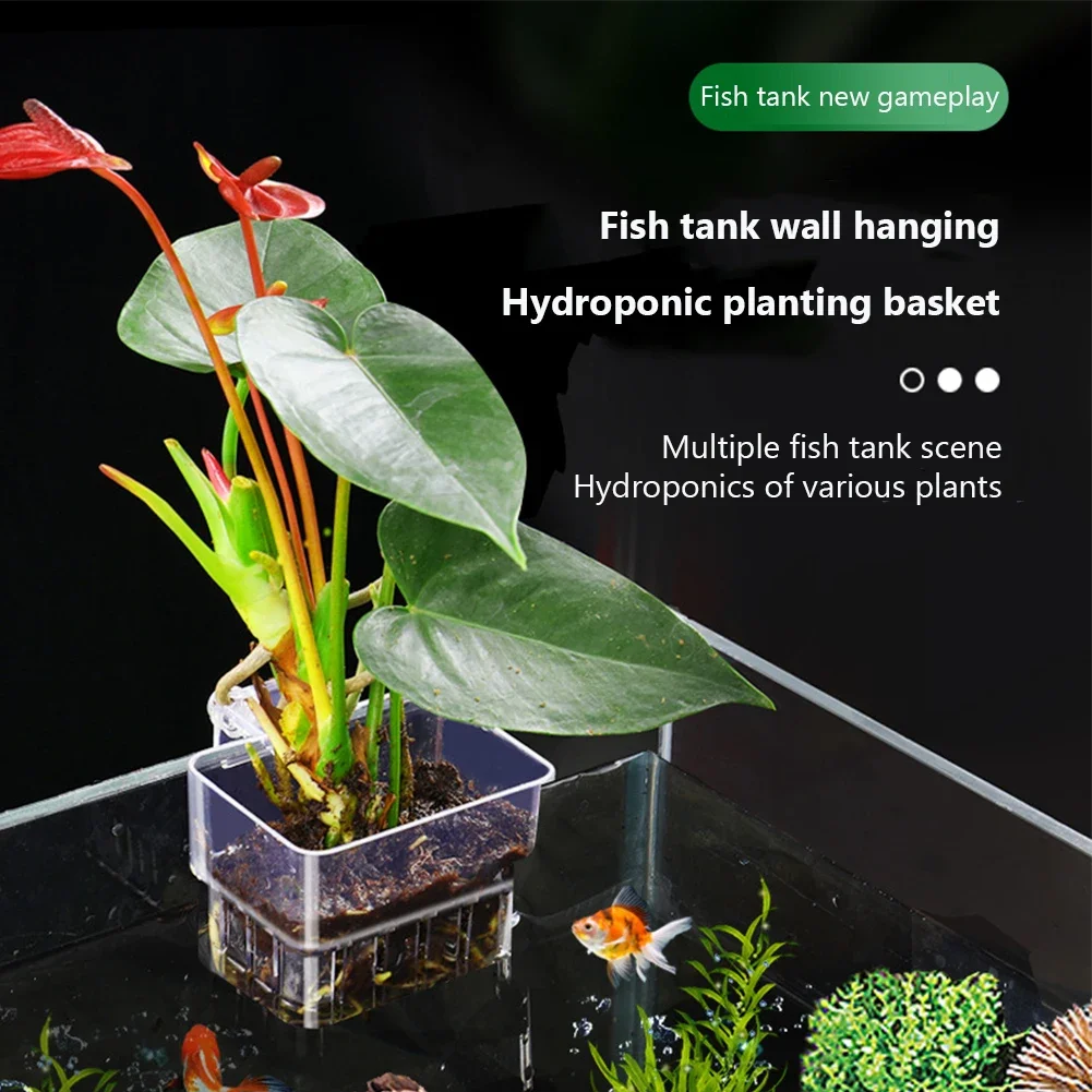 Cesta para Plantas de Aquário Transparente 8 x 8 x 5.7 cm Suspensa - Imagem 5