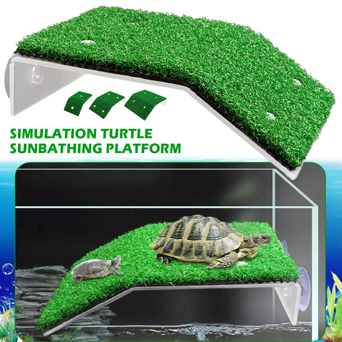 plataforma para tartarugas e répteis com ventosas