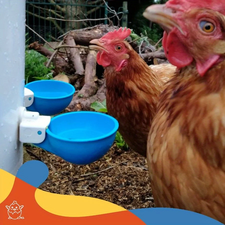 Bebedouro Automático para Aves de Quintal com Vedação Antivazamento - Imagem 2