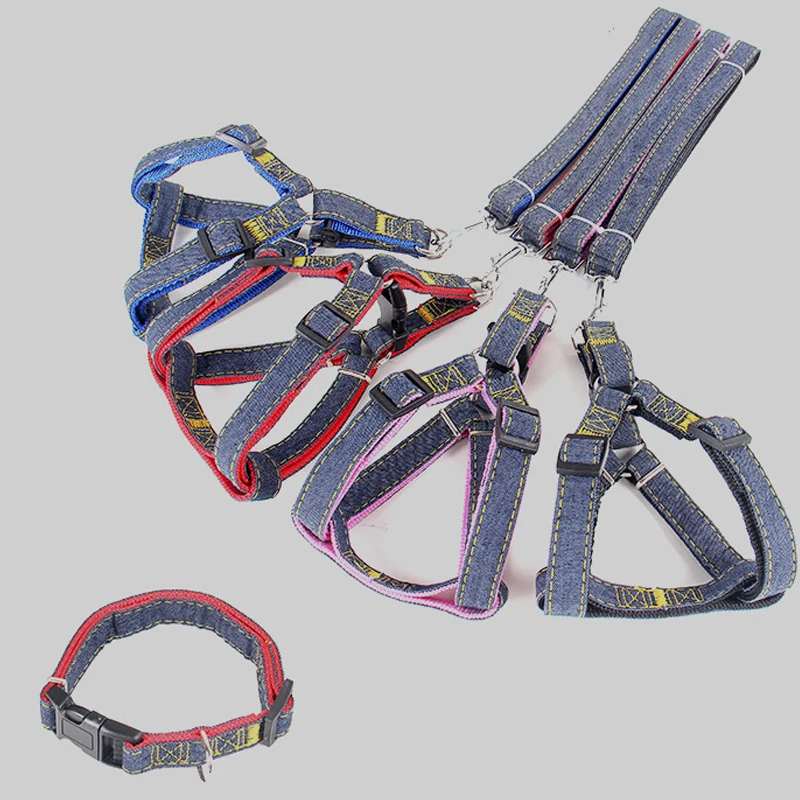 Coleira para Cães de Pequeno a Grande Porte para Passeio - Image 5