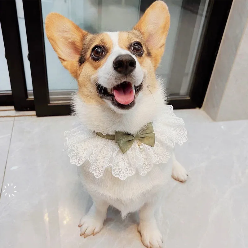 Coleira Babador para Gatos e Cães Pequenos de Renda Floral Ajustável - Imagem 3