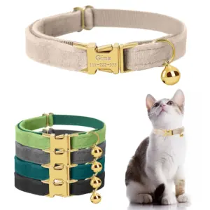 coleira personalizada para gatos e cães