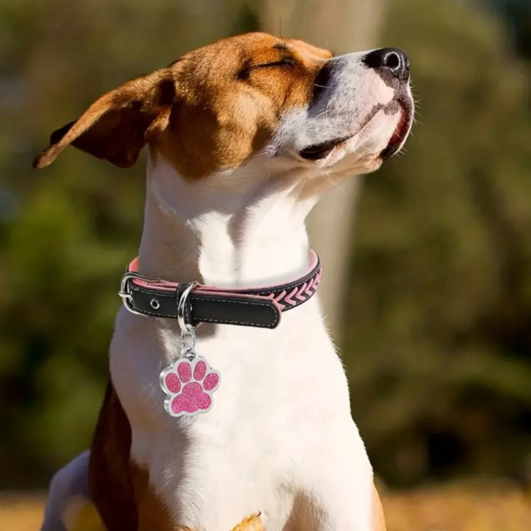 Plaquinha de Identificação para Cães e Gatos com Gravação Personalizada - Imagem 3