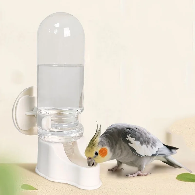 bebedouro automático para pássaros de gaiola