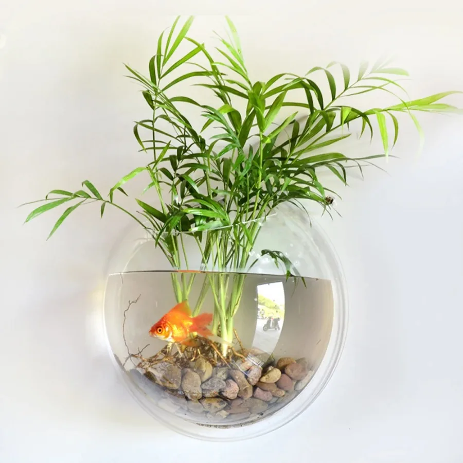 Aquário de Parede Redondo de Acrílico 15 cm para Peixes - Imagem 5