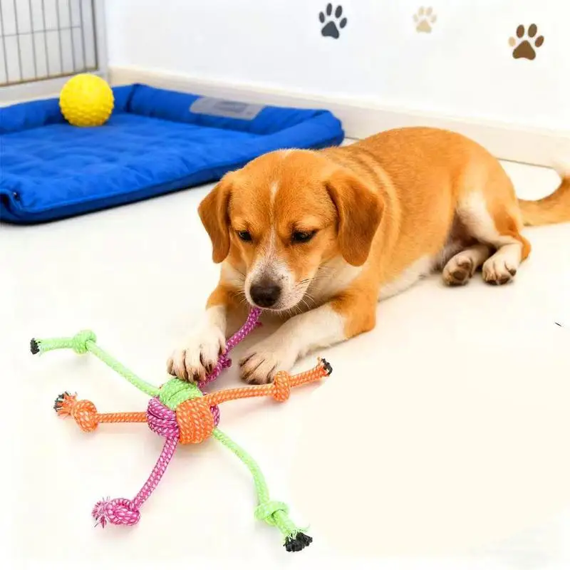 Brinquedo de Corda para Cães com Franjas Verdes e Laranjas - Imagem 5
