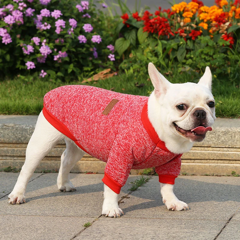Moletom para Cães e Gatos Pequenos de Poliéster para Inverno - Image 4
