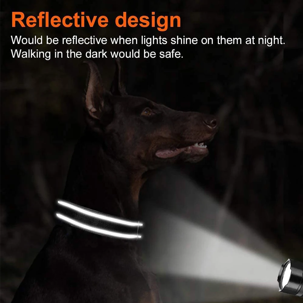 Coleira Reflexiva para Cães Gravada com Nome e Telefone - Imagem 5