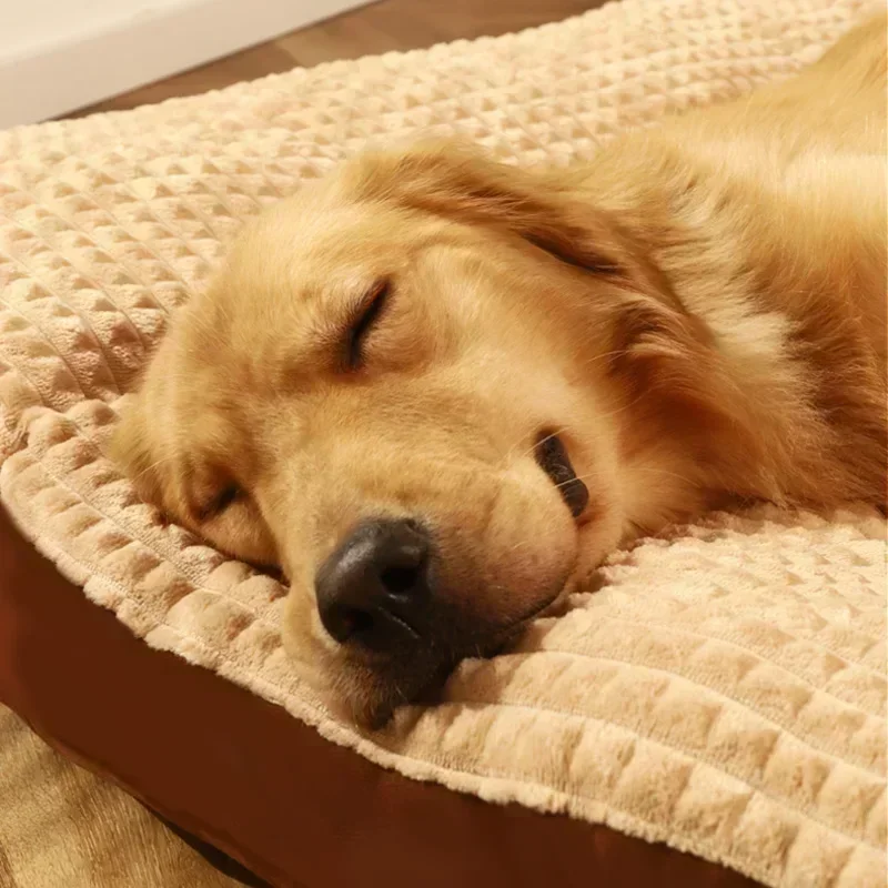Cama Sofá para Cães de Poliéster com Capa Removível - Image 2