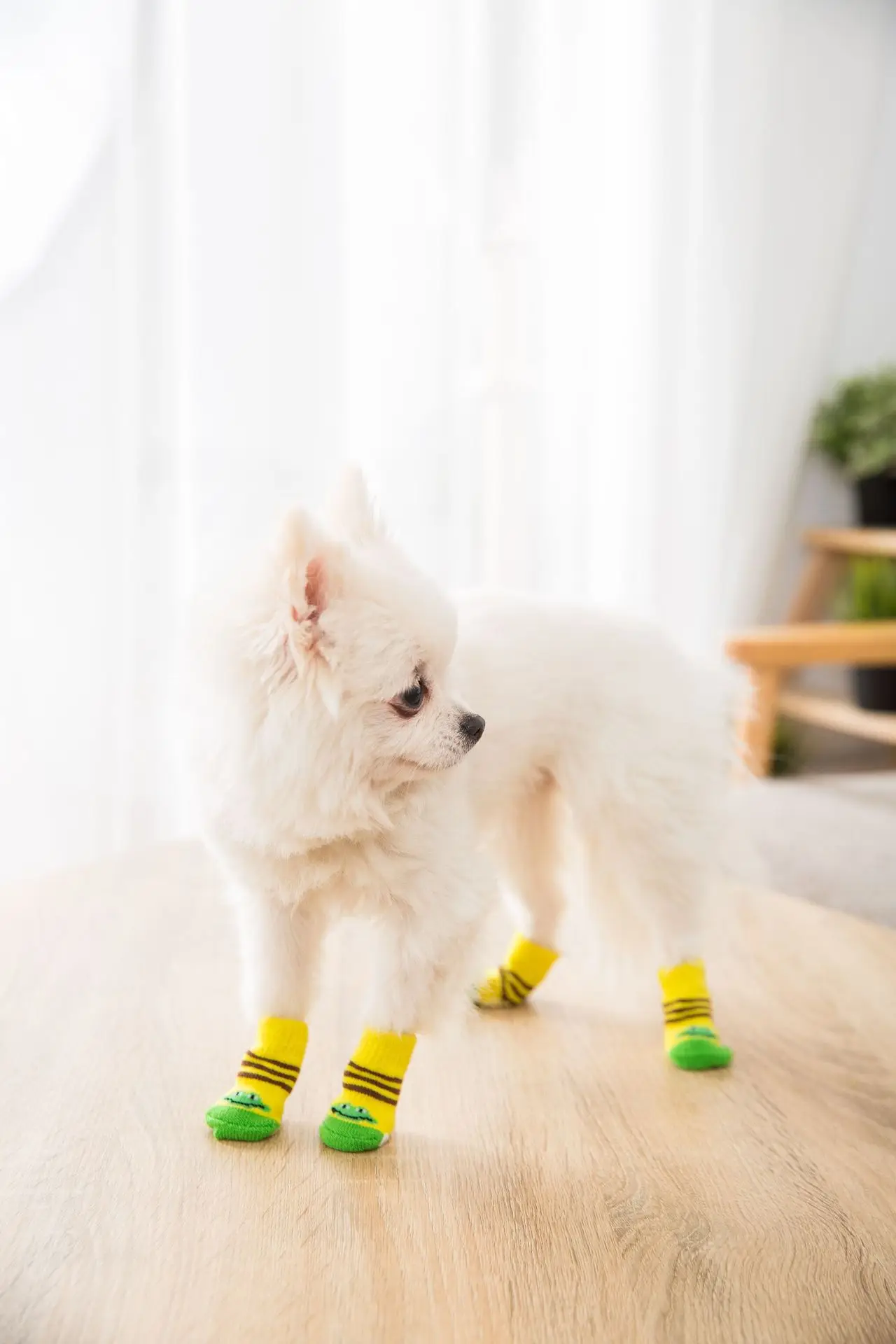 Meias para Cães com Padrão Antiderrapante 4 Peças - Imagem 5