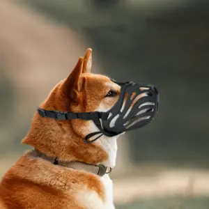 focinheira ajustável para cães
