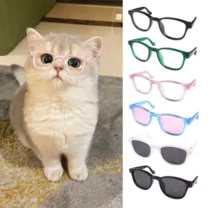 óculos para gatos e cães