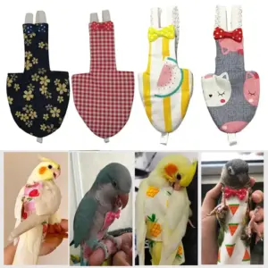 fralda de voo para pássaros