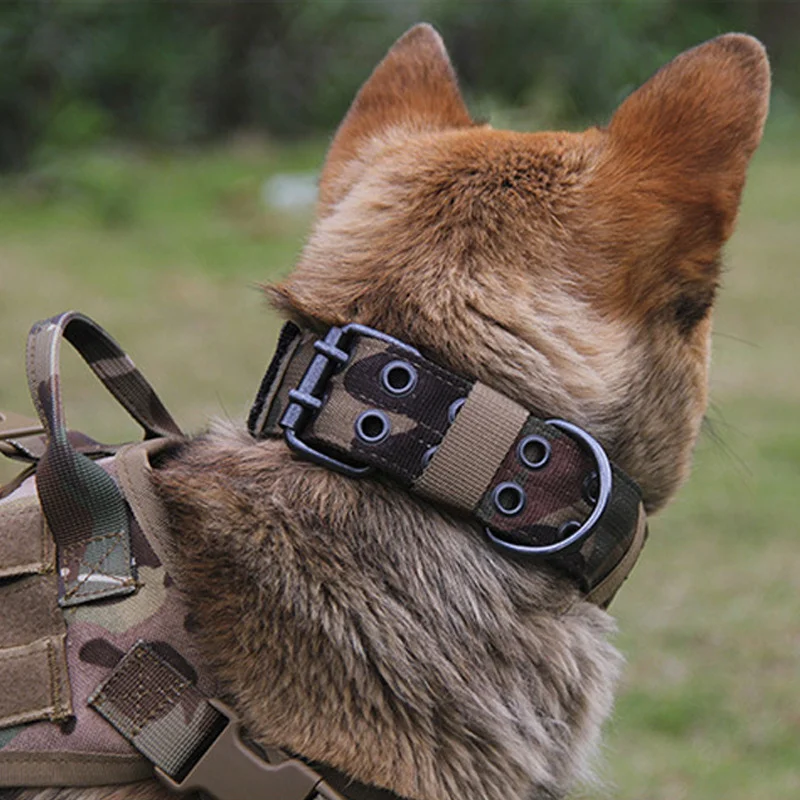Coleira Militar para Cães com D-Ring de Metal e Fivela Ajustável - Image 2