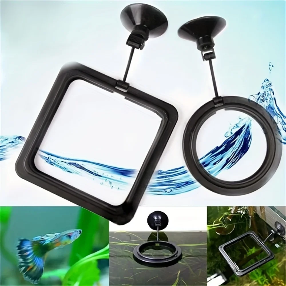 Anel de Alimentação para Aquário com Ventosa e Design Anti-Flutuação - Image 4