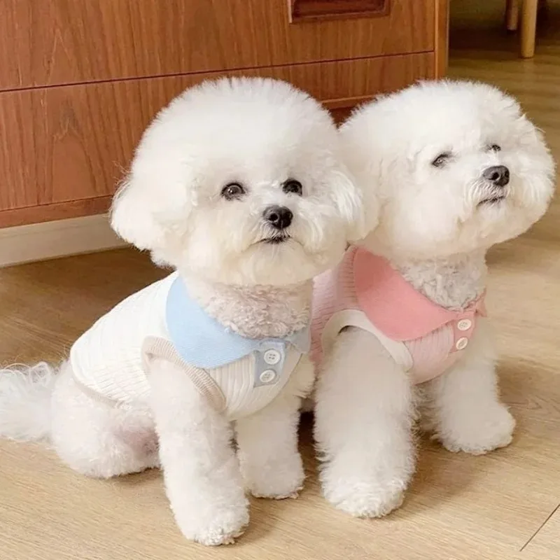 Roupa de Verão para Cães Filhotes e Pequenos Cáqui Escuro - Imagem 2