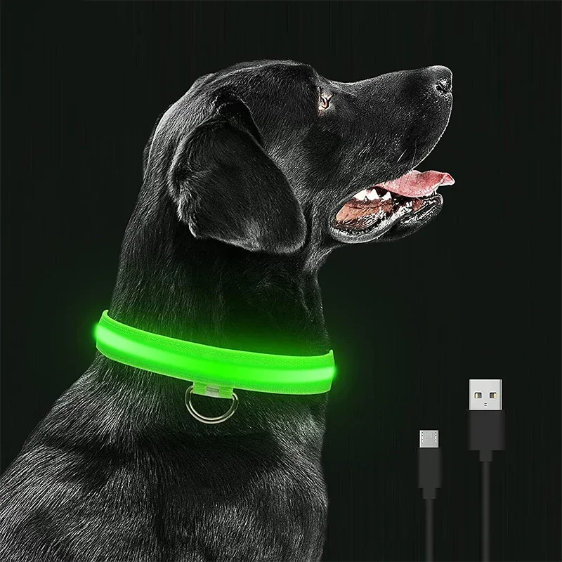 coleira led para cães recarregável usb