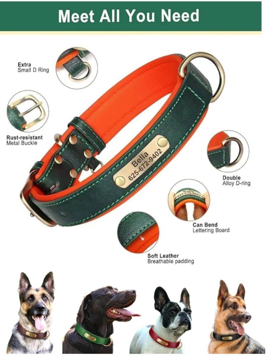 Coleira para Cães de Couro PU Acolchoada com Placa de Identificação Gravada - Imagem 2
