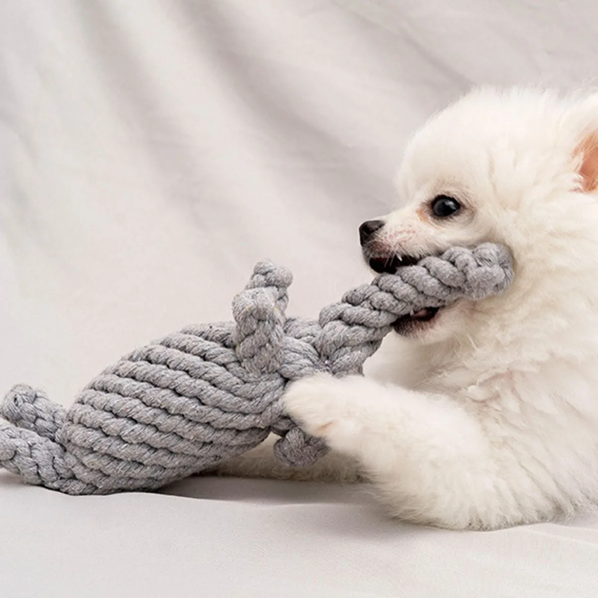 Brinquedo de Corda para Cães Pequenos e Médios Trançado com Nós - Imagem 2