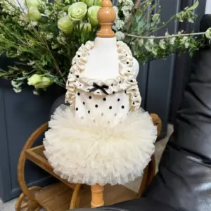vestido para cães e gatos pequenos