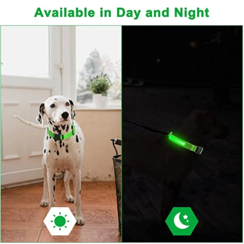 Coleira de LED para Cães Ajustável Recarregável USB e Anti-Perda Noturna - Imagem 3