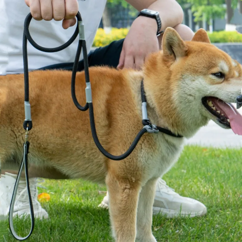 Trela Ajustável para Cães com Alça Dupla 1,4 m - Image 2