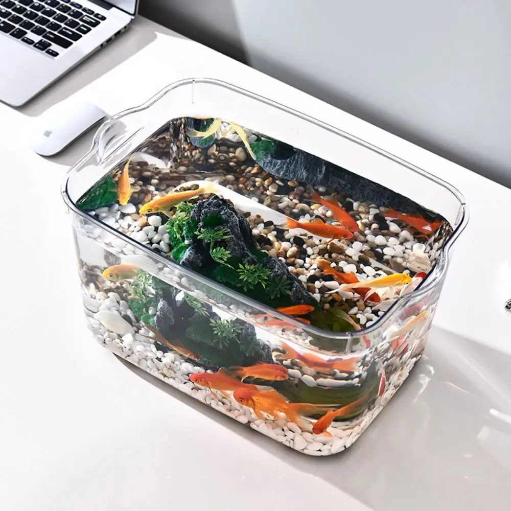 Aquário de Plástico Transparente para Peixes e Tartarugas - Imagem 3