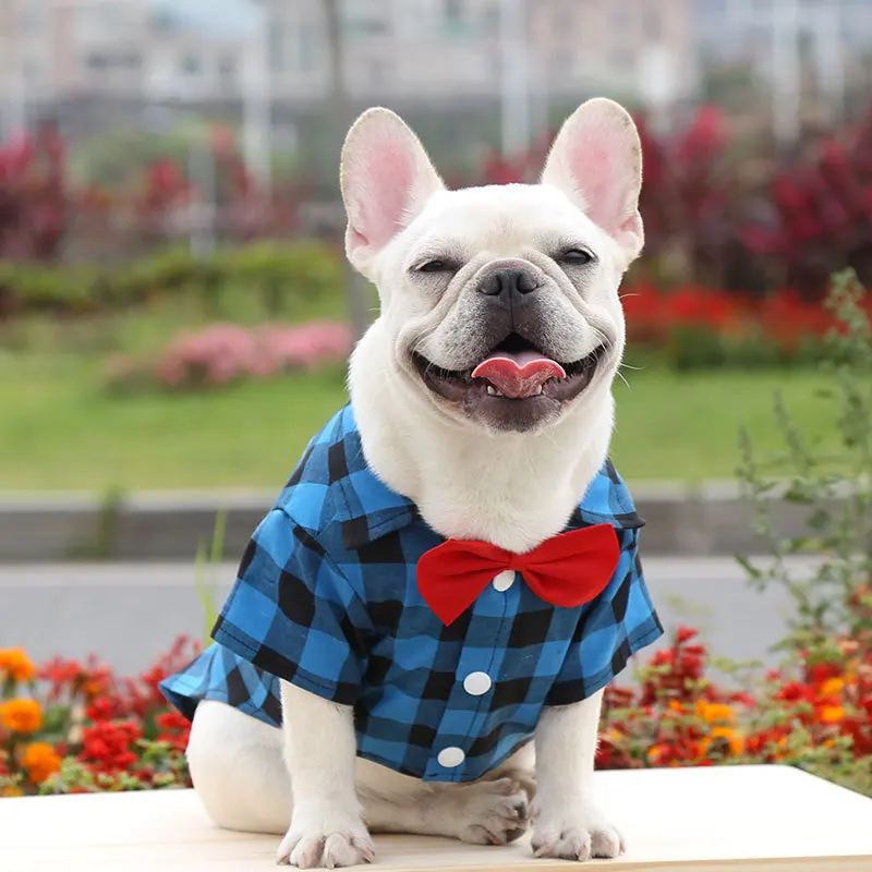 Camisa Xadrez para Cães e Gatos de Pequeno Porte com Gravata Borboleta - Imagem 4