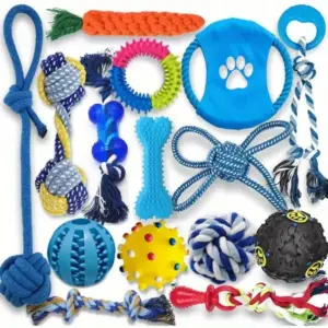 kit brinquedos para cães de borracha e corda