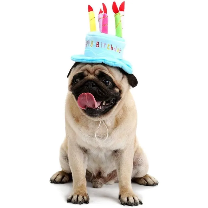 Chapéu de Aniversário para Cães e Gatos de Pelúcia Ajustável - Image 3