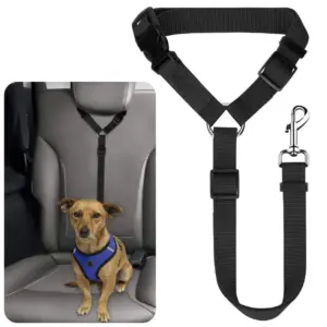 cinto de segurança ajustável para cães