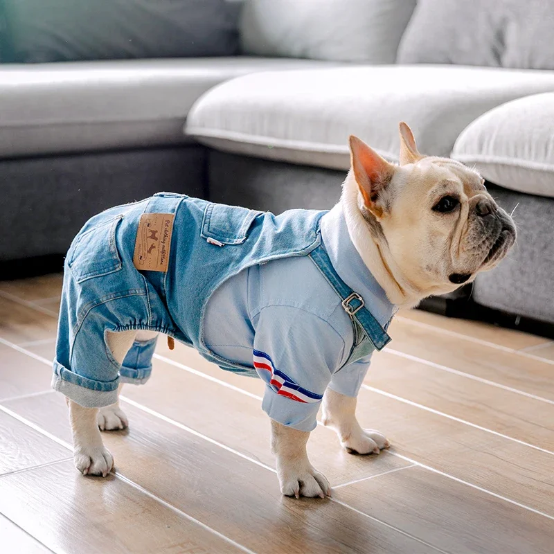 casaco jeans para cães outono inverno