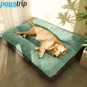 cama sofá para cães de veludo lavável
