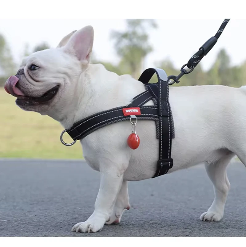 Arnês Tipo Sela para Cães com Peitoral Ajustável para Passeio - Imagem 6