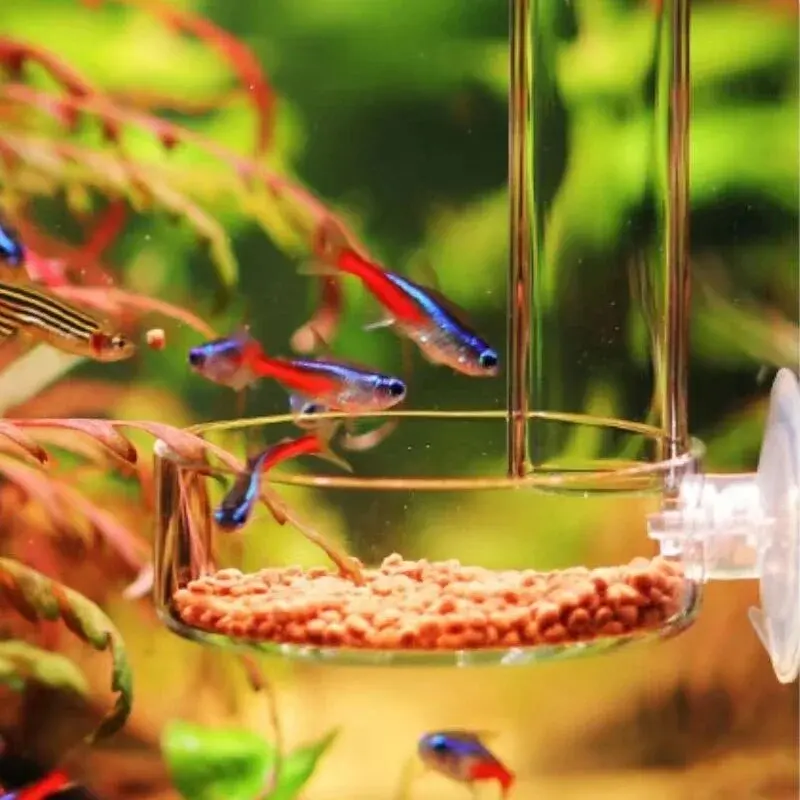 Tubo Alimentador de Vidro para Aquário 15 cm com Ventosa Transparente - Image 6