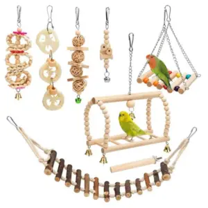 kit de brinquedos de madeira para pássaros