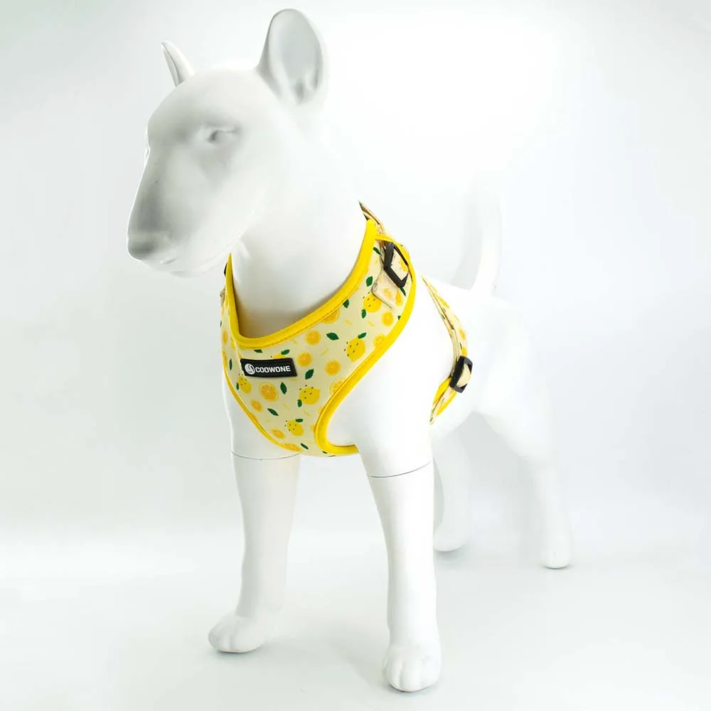 Coleira para Cães Collarlogo com Neoprene e Fivela de Plástico - Image 6