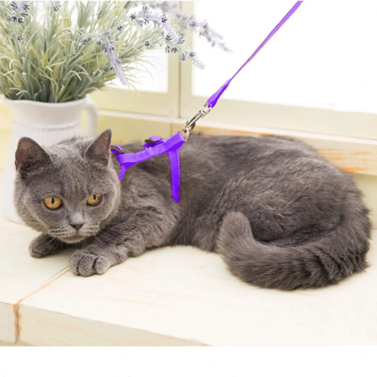 Coleira Peitoral H para Gatos Ajustável de Nylon com Guia de 120 cm - Imagem 4