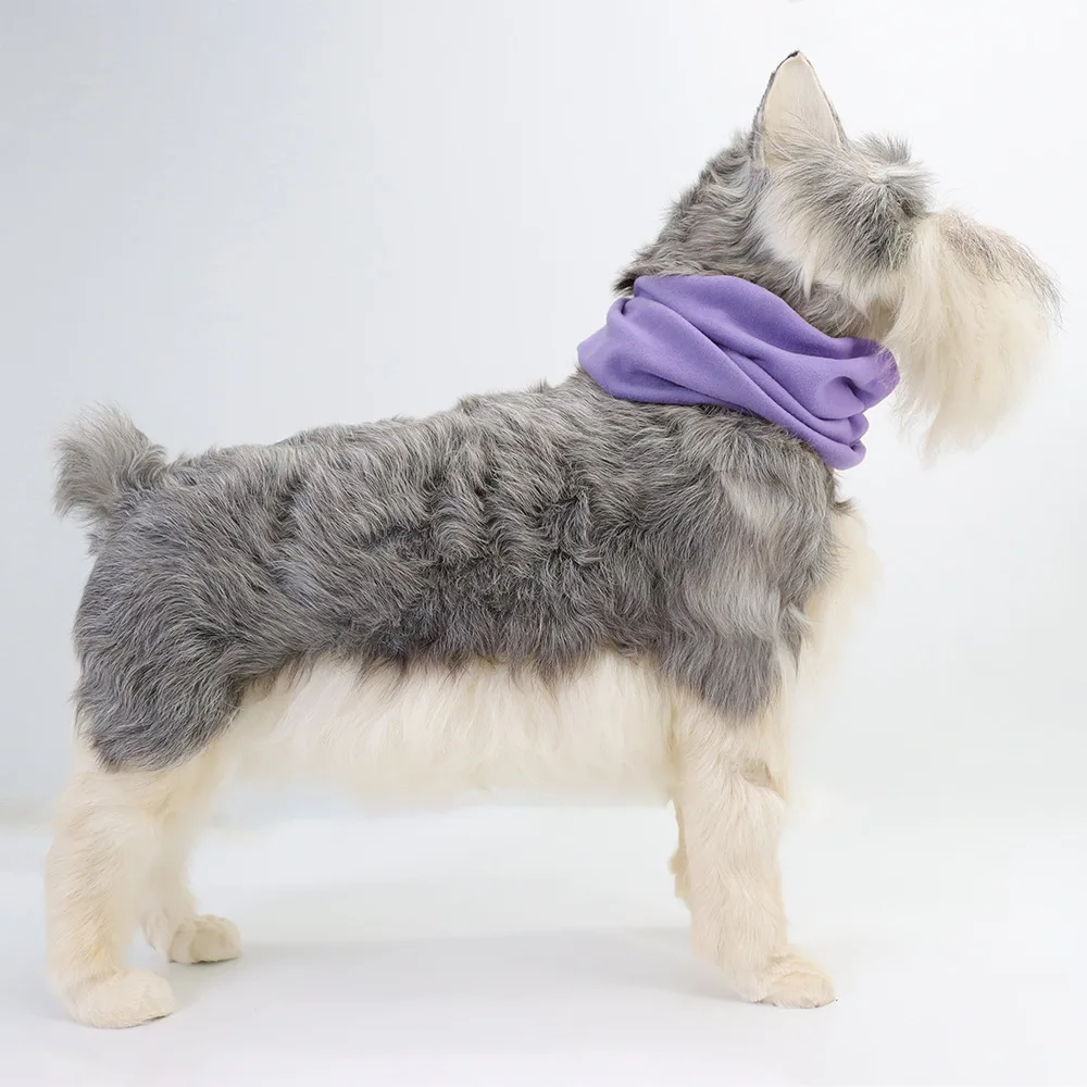 Chapéu para Cães com Protetor de Orelha à Prova de Ruído - Imagem 6
