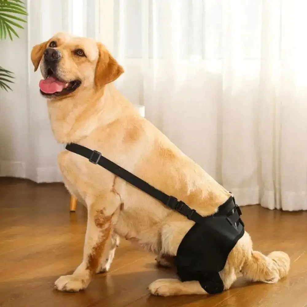 Suporte de Perna para Cães com Alça Ajustável - Imagem 4