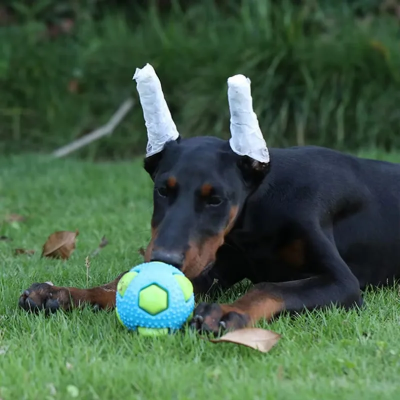 Brinquedo Bola TPR para Cães Pequenos e Médios Interativa - Image 2