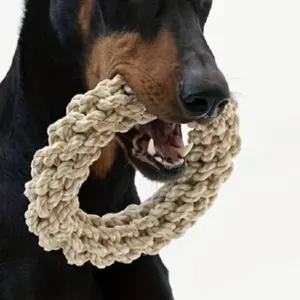 brinquedo de corda para cães grandes