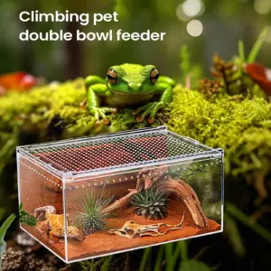 terrário de acrílico transparente para répteis