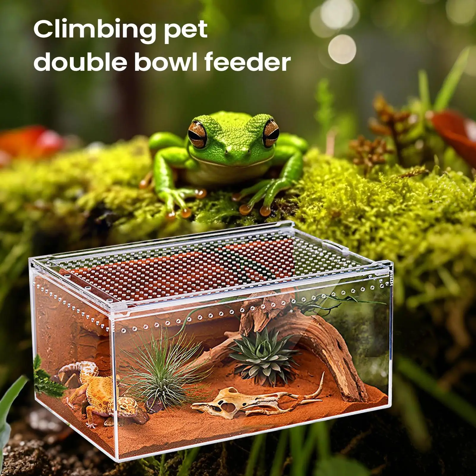 terrário de acrílico transparente para répteis