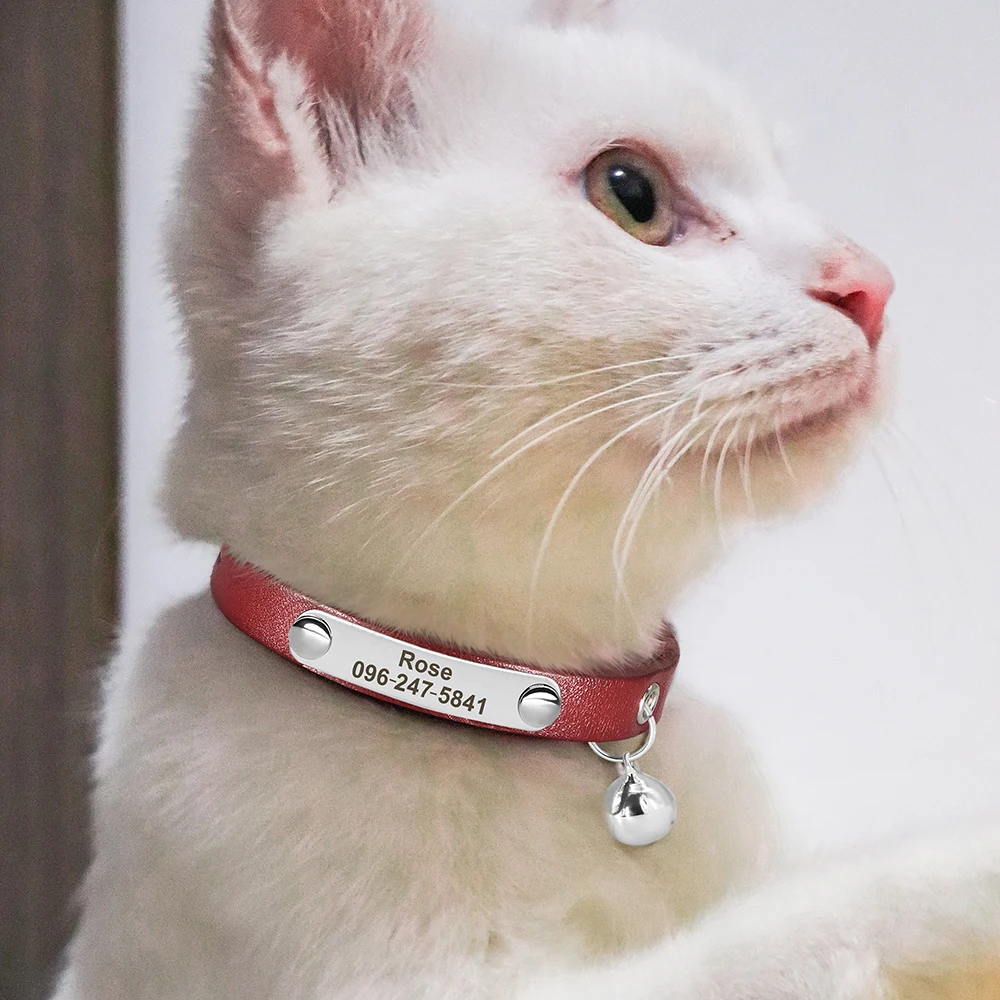 Coleira para Gatos e Cães Pequenos de Couro PU com Ajuste de 15-23 cm - Imagem 5