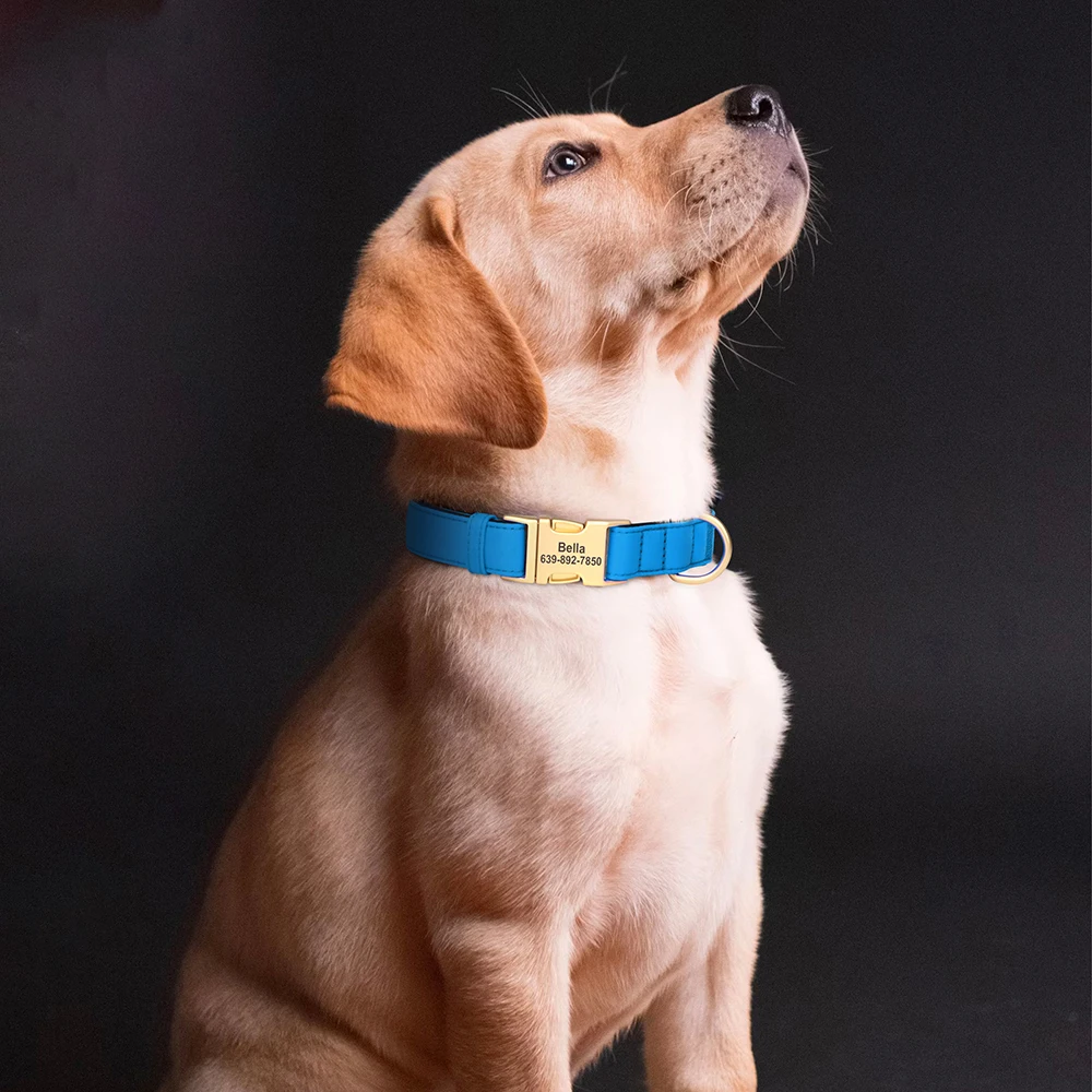 Coleira de Nylon para Cães Pequenos e Médios com Placa de Identificação Personalizada - Imagem 5