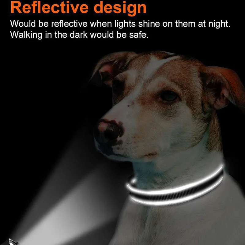 Coleira para Cães de Nylon Acolchoada com Faixa Refletiva para Passeio Noturno - Imagem 2