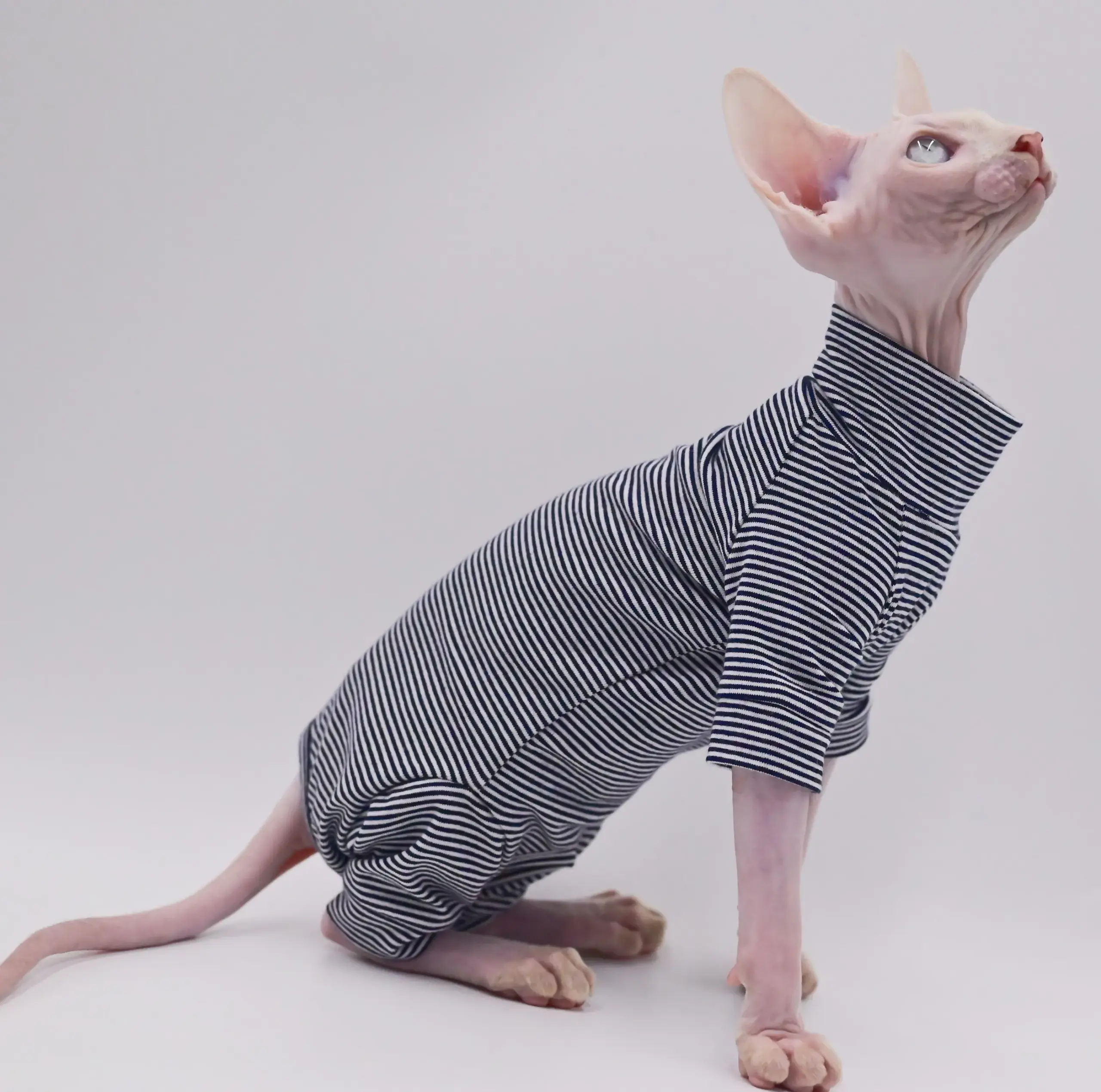 Roupa para Gatos Sem Pelos Macia de Quatro Pernas Tamanho XL - Imagem 2