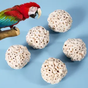 brinquedo de mastigar para papagaio